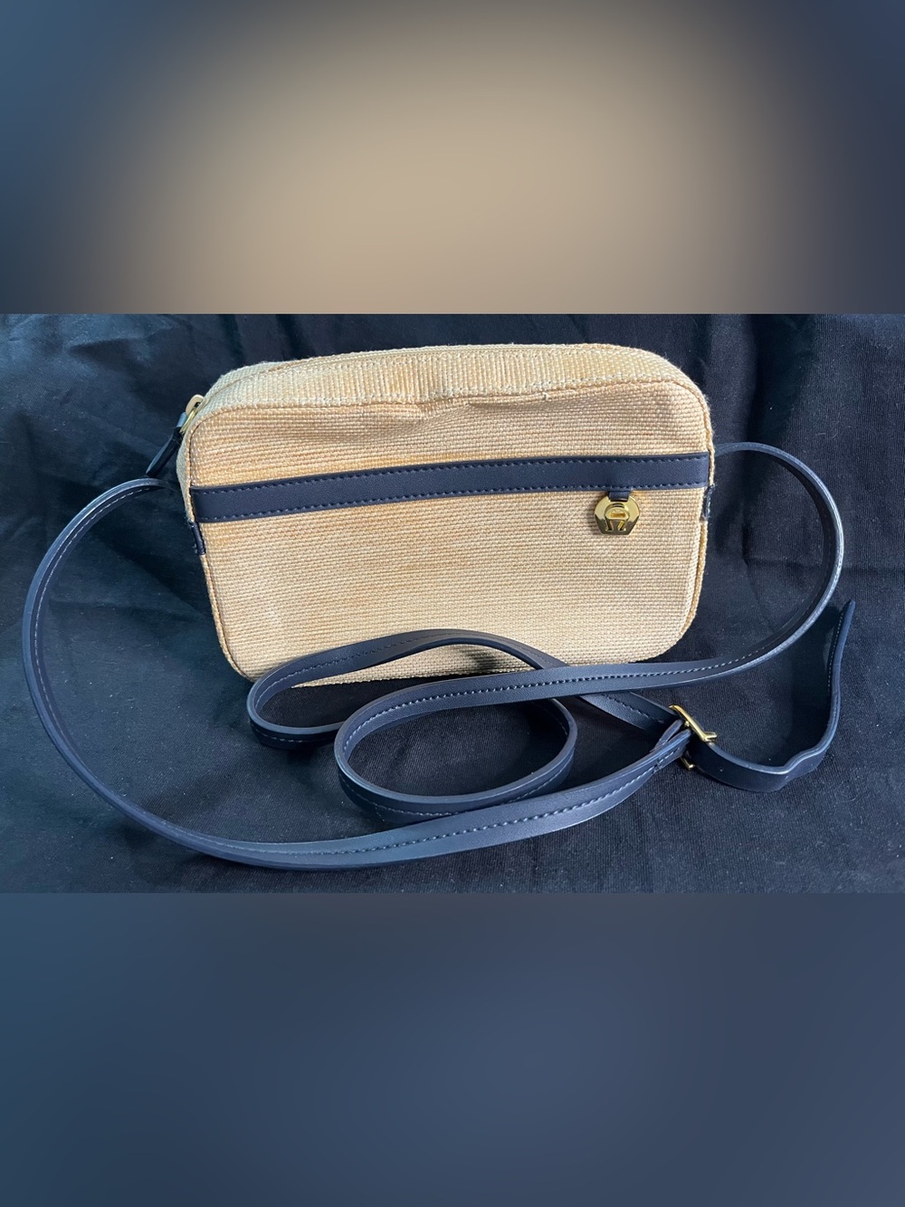 Etienne Aigner Small Paper Straw Crossbody Purse